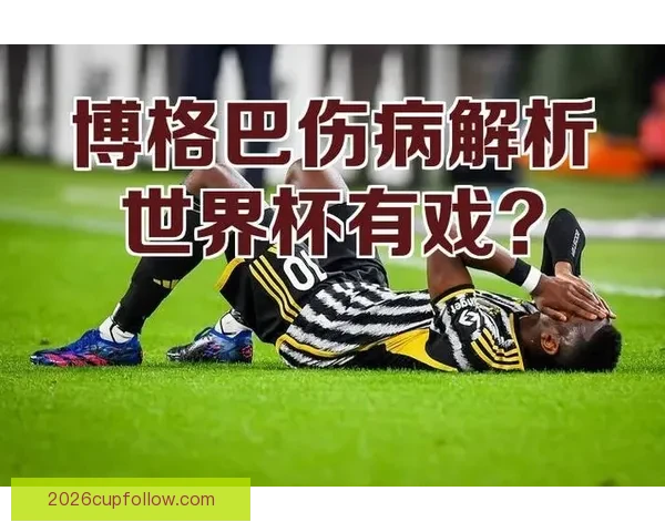 世界杯赛事深入解析与精准体育竞猜策略全指南